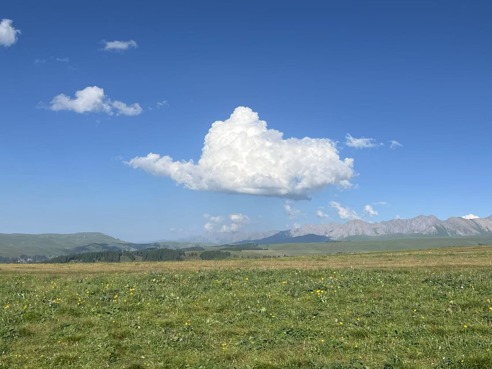 Art Exhibition, “Where the Cloud Rests,” Museo ning Angeles